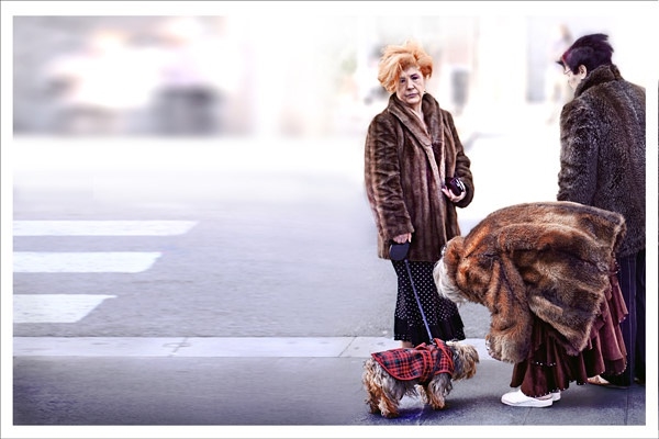 /wp-content/uploads/2010/12/7f0131ff712ac7218ed922e53a00d3b3.jpg