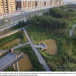 2012ASLA专业奖 通用设计杰出奖 ：哈尔滨群力雨洪公园 / 土人设计