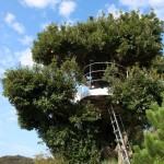 gooood archive: Viewpoint