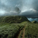 数字场景，波兰 / Michal Karcz