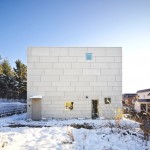 独立住宅，日本 / Jun Igarashi Architects