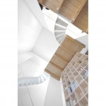 独立住宅，日本 / Jun Igarashi Architects