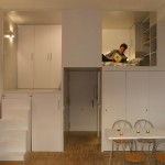 小公寓改建，西班牙 / Beriot, Bernardini Arquitectos