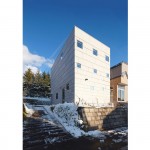 独立住宅，日本 / Jun Igarashi Architects
