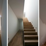 San Angel的住宅项目，墨西哥 / DCPP arquitectos