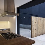 San Angel的住宅项目，墨西哥 / DCPP arquitectos