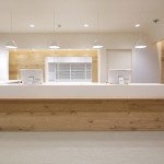 东京大田区大森药房，日本 / Hiroyuki Ogawa Architects Inc