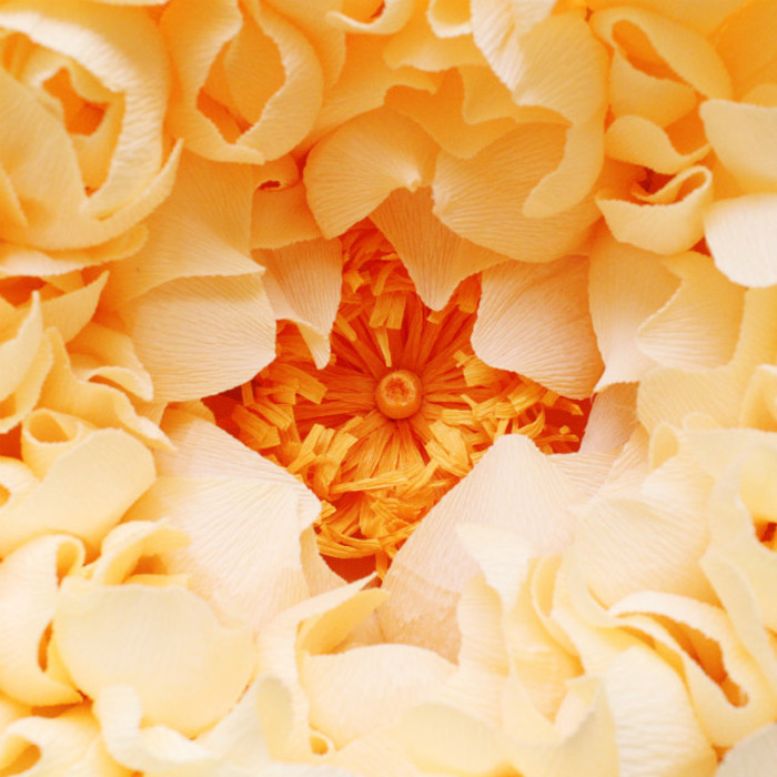 /wp-content/uploads/2014/05/864ed008b2374ae96940f5389e463443.jpg