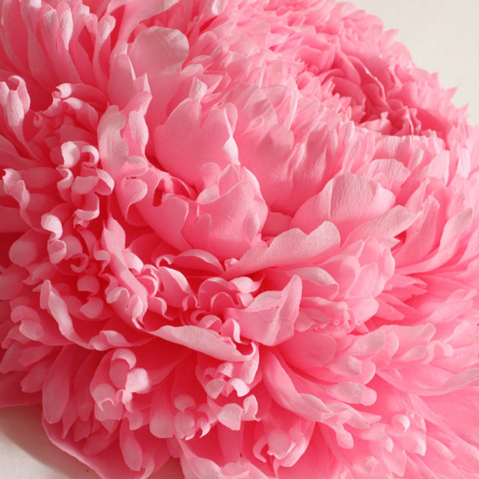 /wp-content/uploads/2014/05/8ecbc35ce0d89b118ed61dd385fb0739.jpg