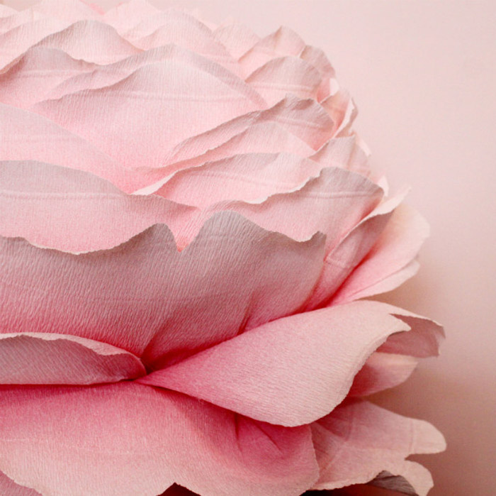 /wp-content/uploads/2014/05/b26d4e2d7afc7309132170aeca6b9b77.jpg