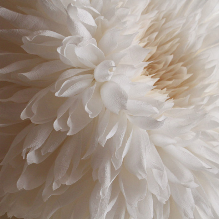 /wp-content/uploads/2014/05/bef4e7b7d7d8a64621219d1eb66095ae.jpg