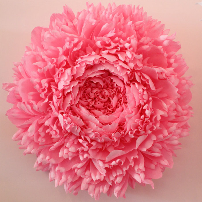 /wp-content/uploads/2014/05/d86c5154b02bef09dfc31ff61dcb9269.jpg