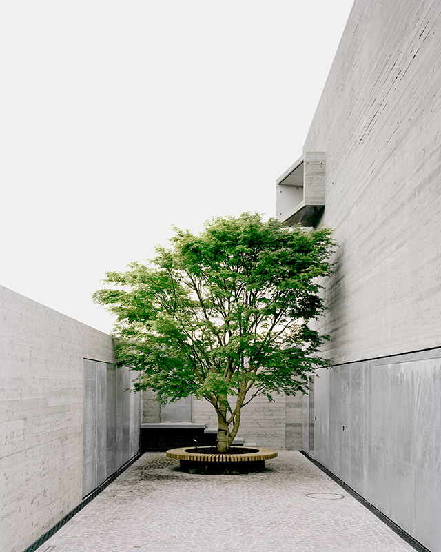 主入口庭院。三层主卧的窗户造型点明建筑尺度。