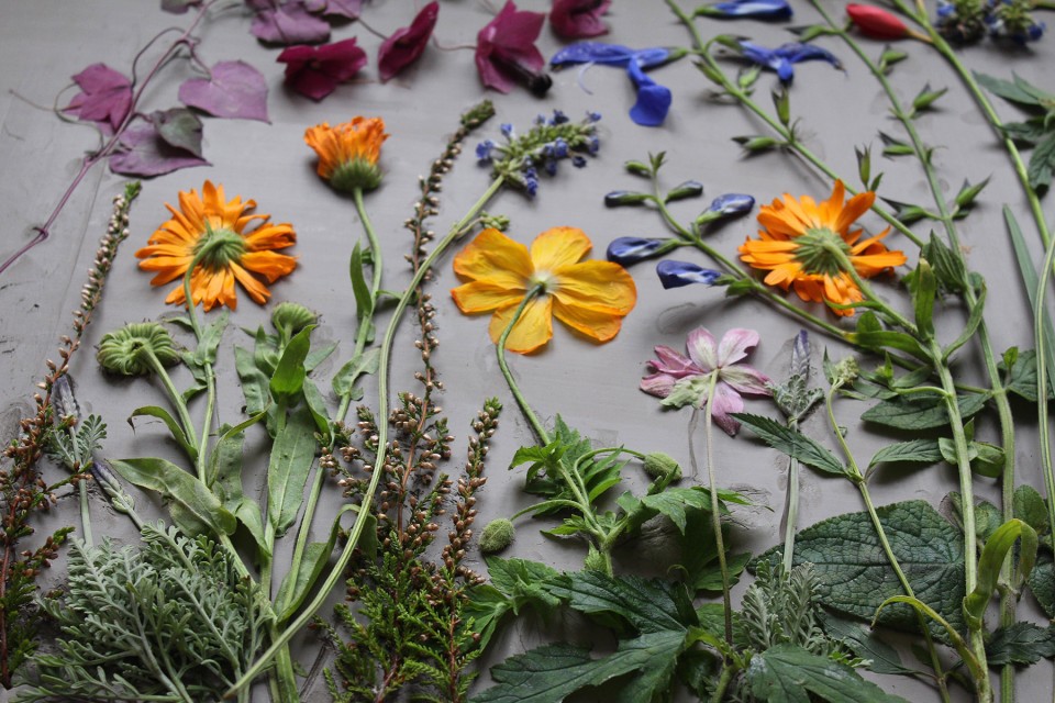 版权Rachel Dein : August Wedding