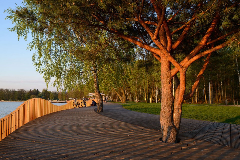 015-Paprocany lake shore-RS+ Robert Skitek (12)