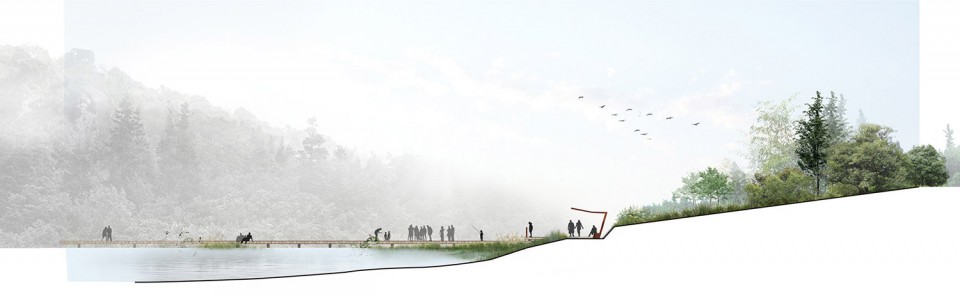 021 Niushou_HASSELL_Section-WetlandPark
