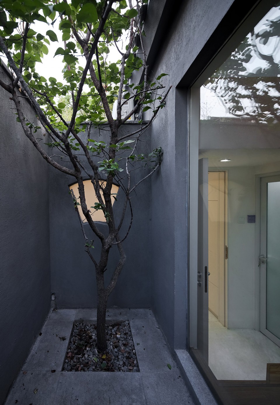 小院中的绿荫 Tree in private courtyard