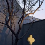 打在院墙上的树影 Tree shadow cast on courtyard wall