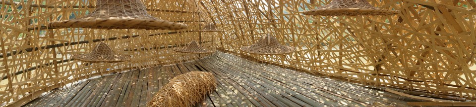 Cocoon (13)