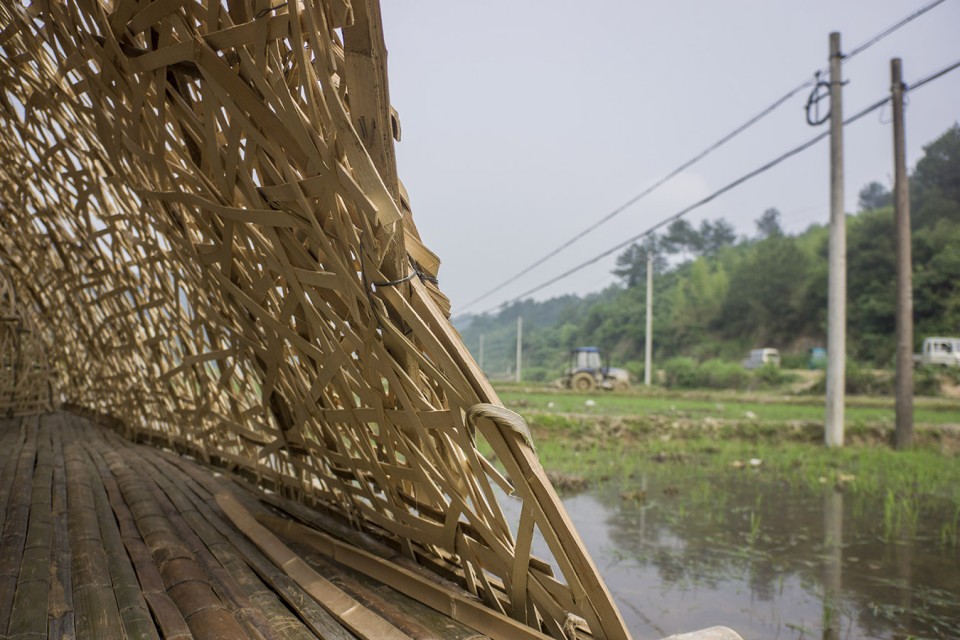 Cocoon (16)