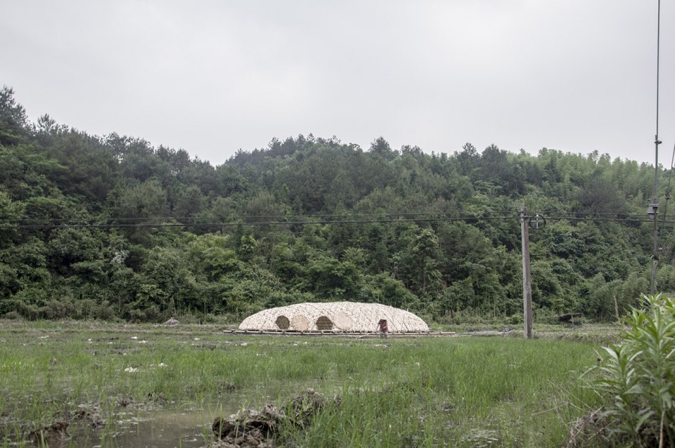 Cocoon (2)