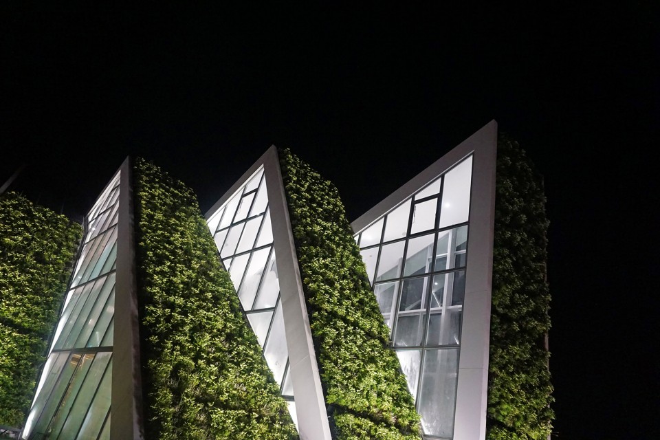 绿色屋顶 近景 close view of green roof