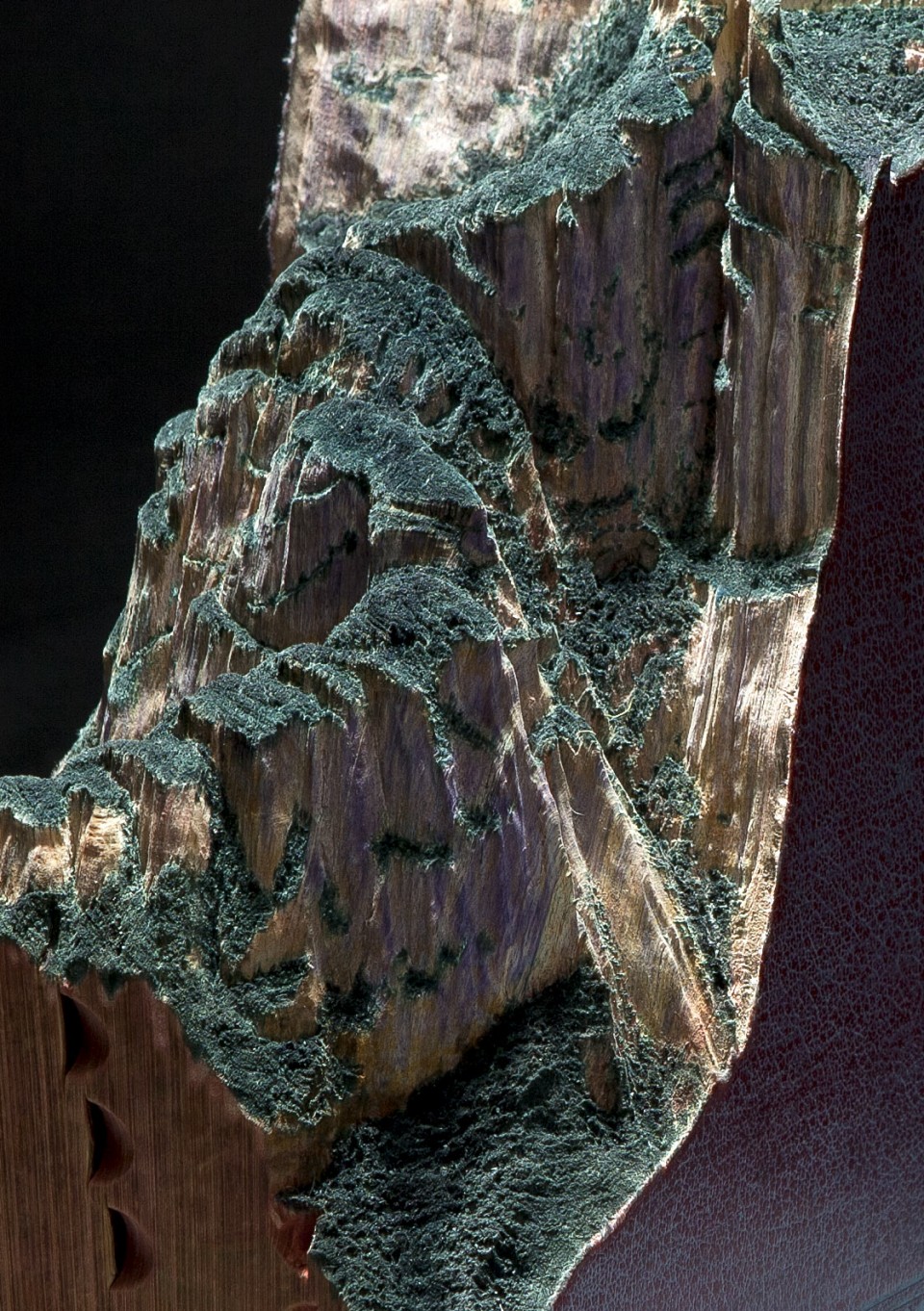 021 Selects Works by Guy Laramée