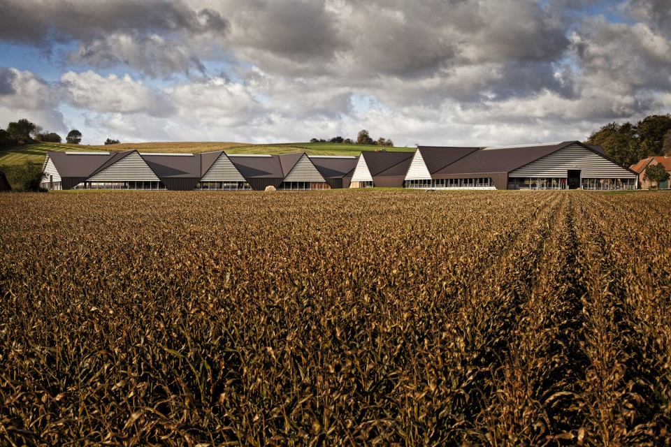 B_LUMO Architects_Vejlskovgaard_stable