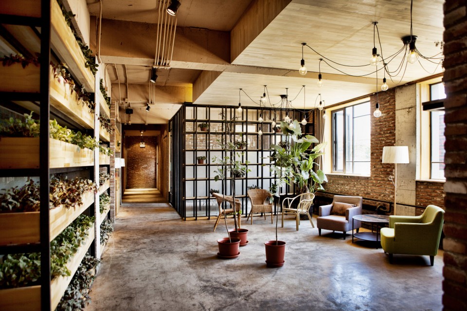 BanShan Cafe Beijing by Robot3 016