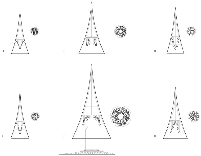 006 spatial practice glowing trees - drawing section