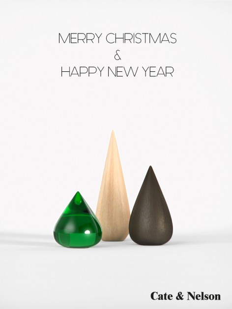 Cate & Nelson Holidays cards 2015