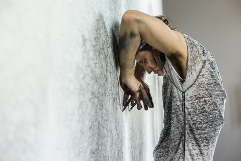 Tony Orrico