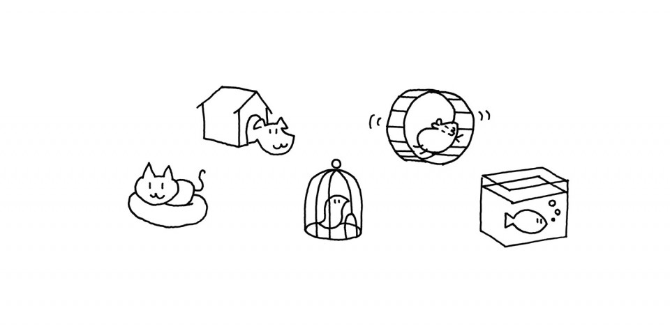 pet-pearl_collection_sketch