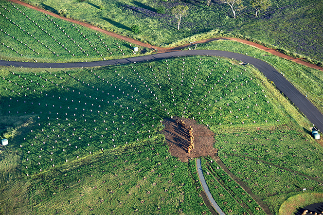 002-National Arboretum Canberra by TCL