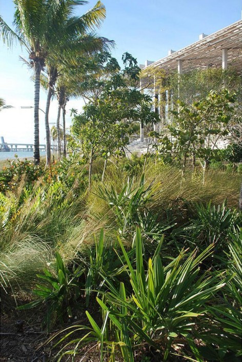 003-Perez Art Museum Miami: Resiliency by Design by ArquitectonicaGEO