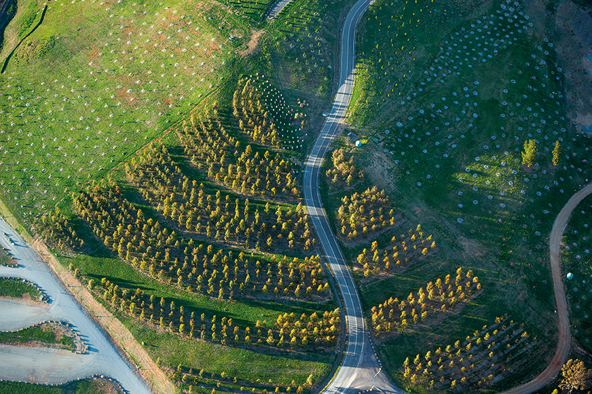 004-National Arboretum Canberra by TCL