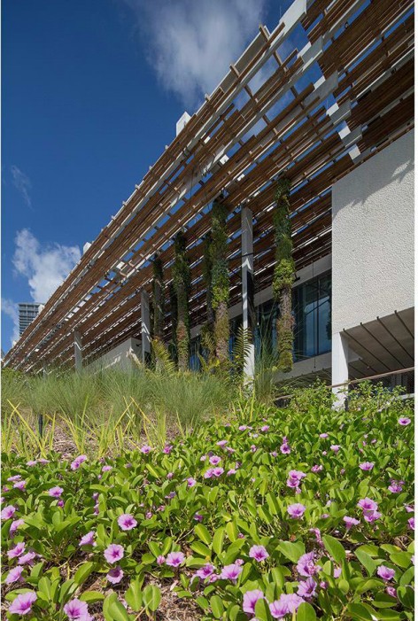 005-Perez Art Museum Miami: Resiliency by Design by ArquitectonicaGEO