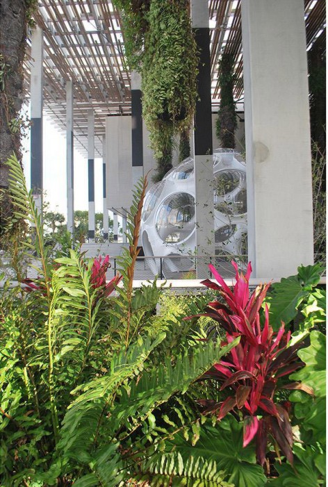 007-Perez Art Museum Miami: Resiliency by Design by ArquitectonicaGEO