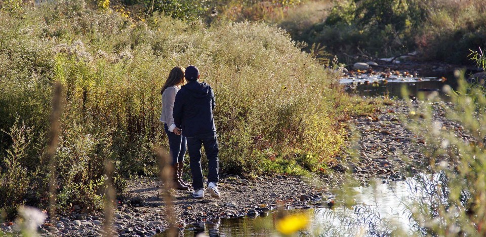 010-Mill River Park and Greenway by OLIN MillRiver09