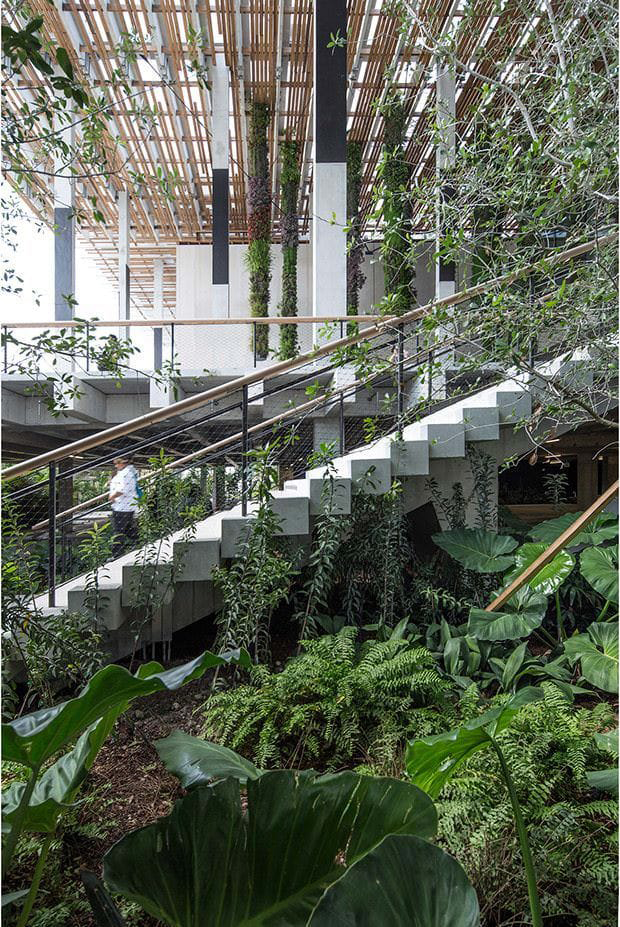 010-Perez Art Museum Miami: Resiliency by Design by ArquitectonicaGEO