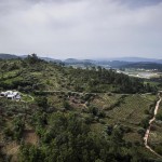 Casa na Gateira by Camarim