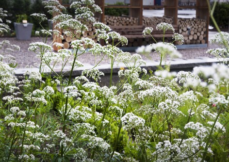 008-Physic Garden by Thorbjörn Andersson with Sweco architects