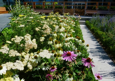 009-Physic Garden by Thorbjörn Andersson with Sweco architects