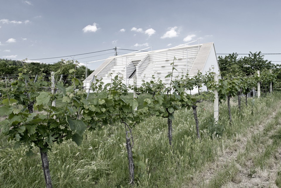 001-Weinblick by Pühringer GmbH & Co KG