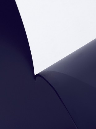 yoy_cutout_071
