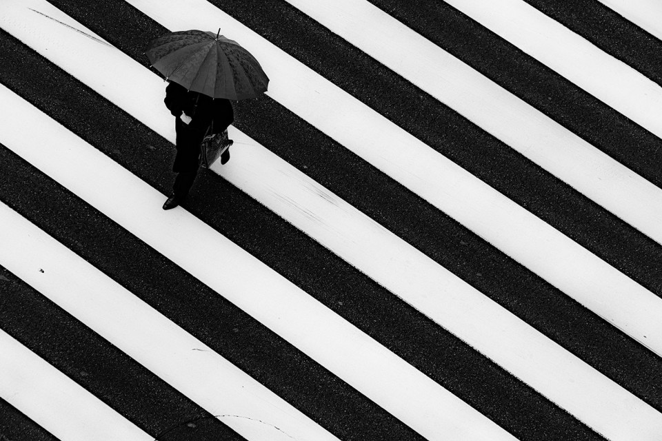 umbrella