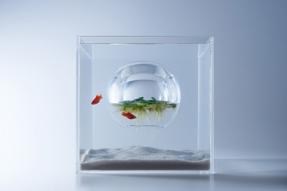 waterscape_photo_04