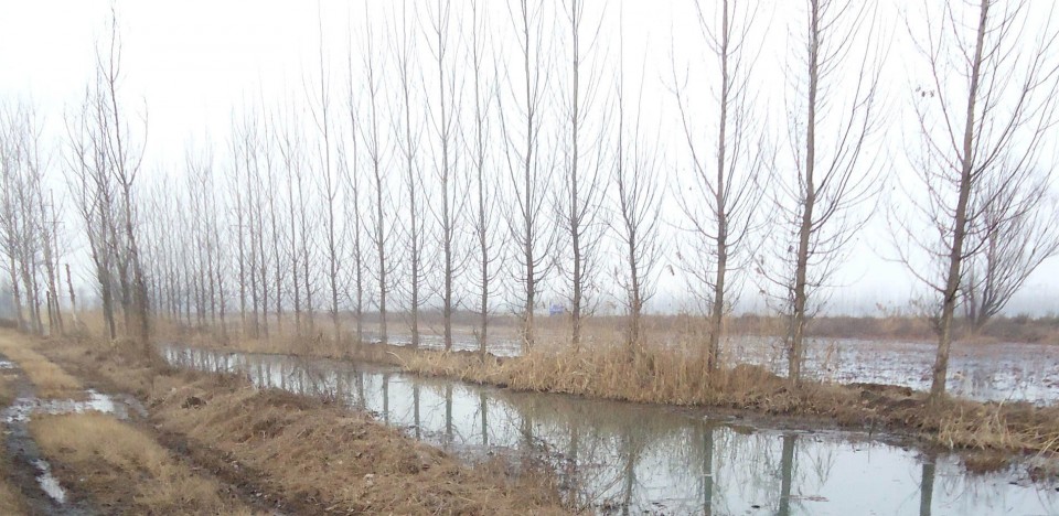 002-Weishan Wetland Park by aecom