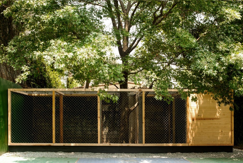 House for eagles - S-AR - 3