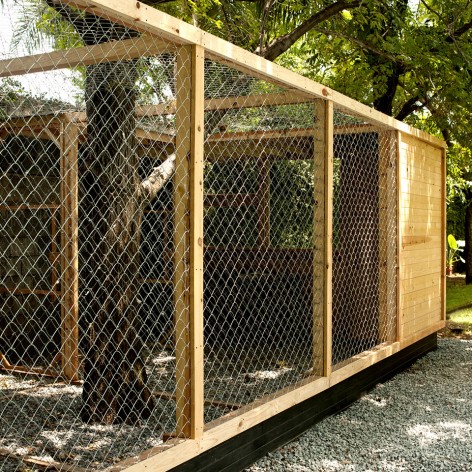 House for eagles - S-AR - 5